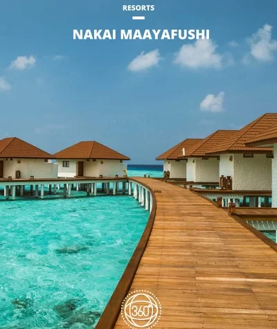 NAKAI MAAYAFUSHI